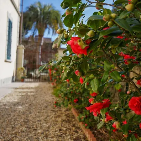 Apartman The Park View 4 Bedrooms With Terrace And Elevator Inside The Walls Of Lucca